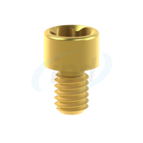 Neodent® GM™ Micro Abutment compatible TPA Screw for angled screw channels